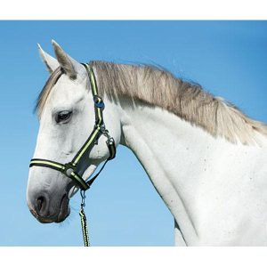 HIPPO HALSTER ANTRA/LEMON-0 – SHETLAND