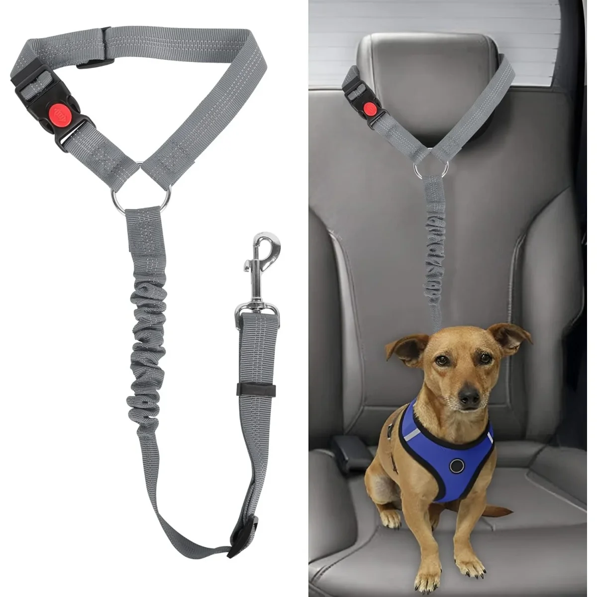 1 Stuk - Verstelbare Hoofdsteun Honden Autogordel - Elastische Autoveiligheidsgordel Voor Honden en Katten - Sterke Nylon Bungee Buffer Hondentuigje - Grijs - Geschikt Voor Kleine, Middelgrote en Grote Huisdieren - Veilig Reizen Met Huisdieren - Afbeelding 2