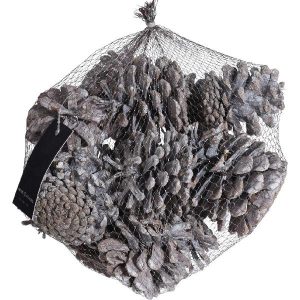Dennenappel set 300gram wit